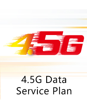 4.5G Data Service Plan